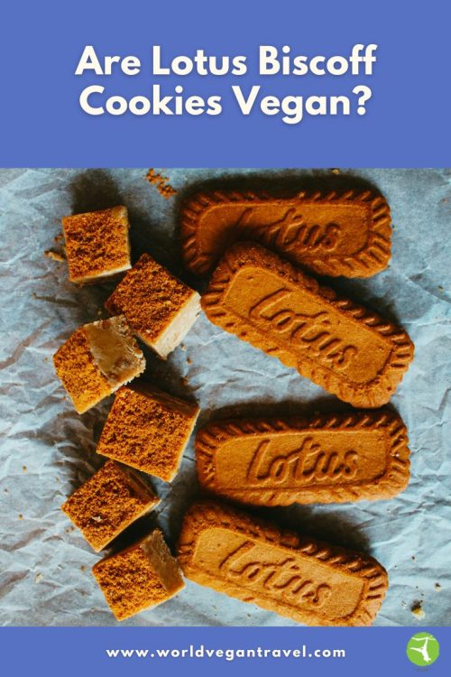 Lotus Biscoff cookies and cookie pieces on baking paper for a blog about whether they are vegan.