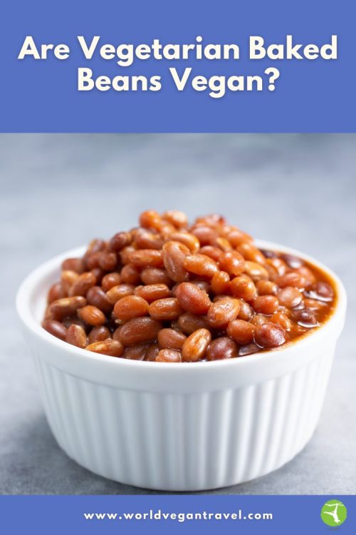 A small white bowl filled with baked beans, used for a blog post about whether baked beans are vegan.