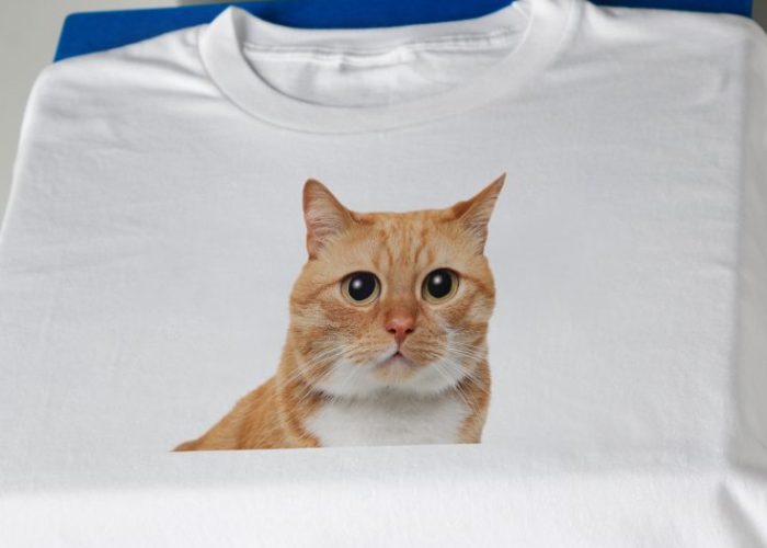 White T-shirt with a cute cat face design, part of a vegan messagewear gift guide from World Vegan Travel.