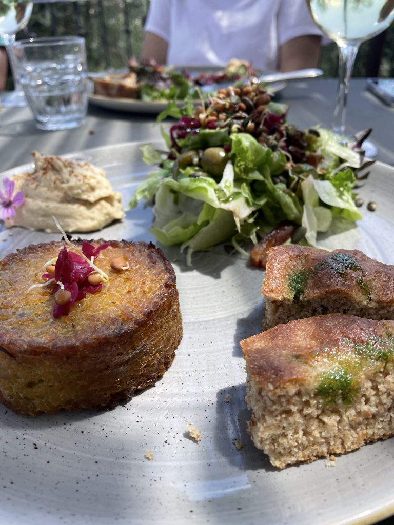 Gourmet vegan lunch plate with salad, hummus, and savory bread