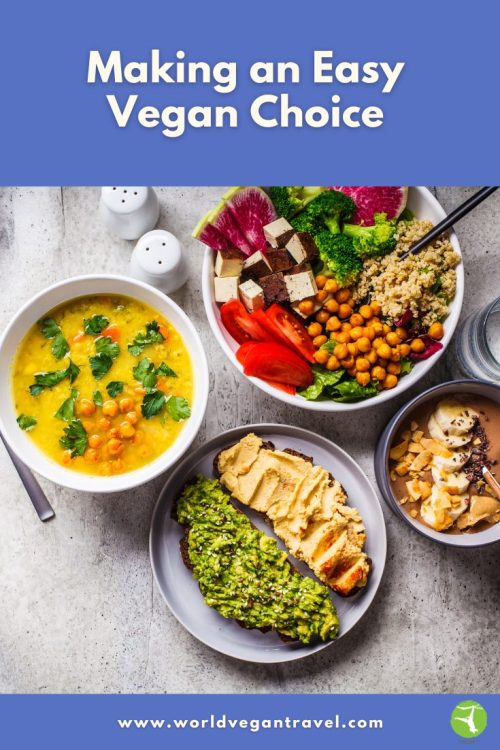 Colorful vegan meal with avocado toast, chickpea soup, quinoa bowl, and tofu salad.