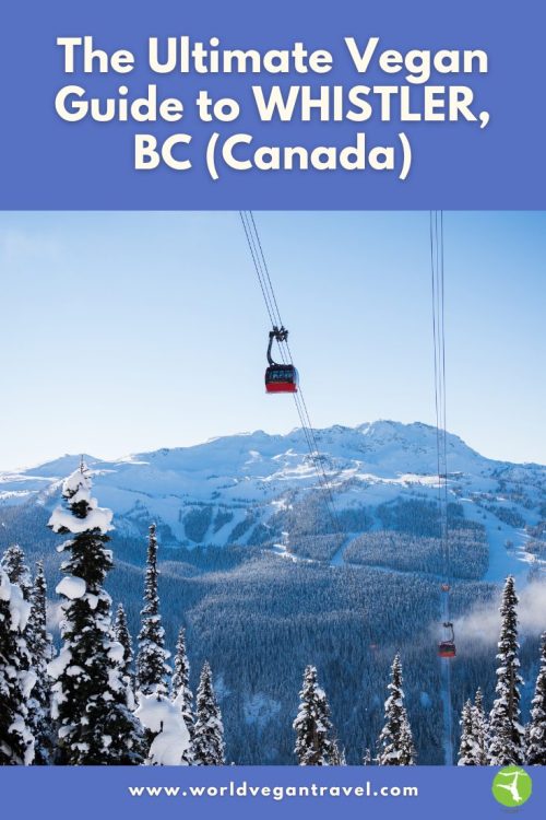 Snowy Whistler mountain landscape with gondola, representing the Ultimate Vegan Guide to Whistler and vegan Whistler travel.