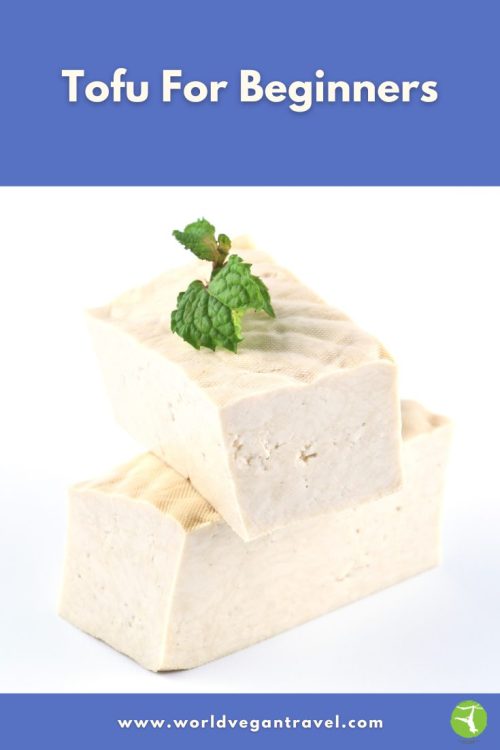 Two blocks of fresh tofu stacked with a mint garnish, perfect for vegan beginners.