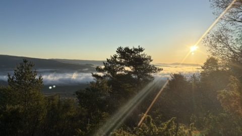 World Vegan Travel_Sunrise over misty hills and pine trees in the Luberon countryside, Provence