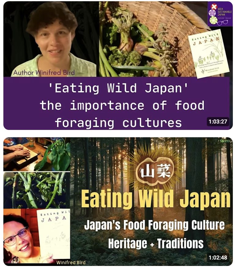 World Vegan Travel_WinifredBird