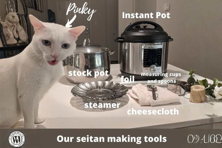 Kitchen tools for making seitan, including a stock pot, Instant Pot, steamer, cheesecloth, and a white cat sitting beside them.