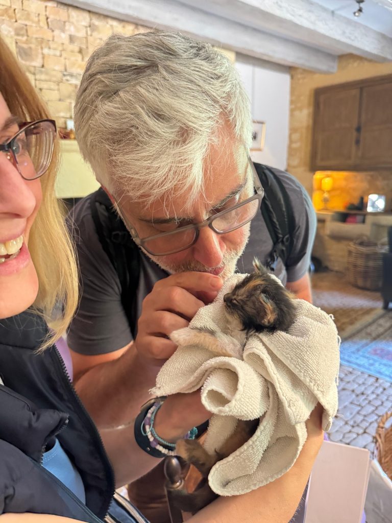 Man gently feeding a tiny rescued kitten wrapped in a towel