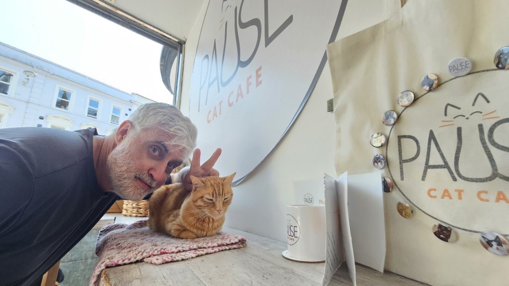 Inside Pause Cat Café with cozy seats and cats lounging around.