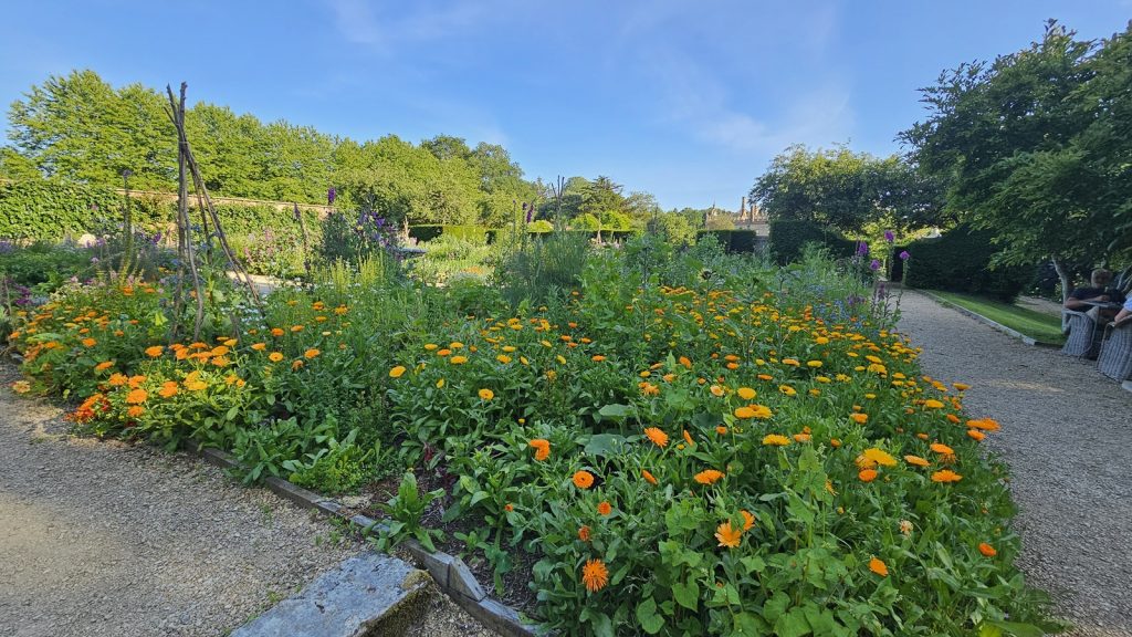 An old stone bridge surrounded by greenery and trees.