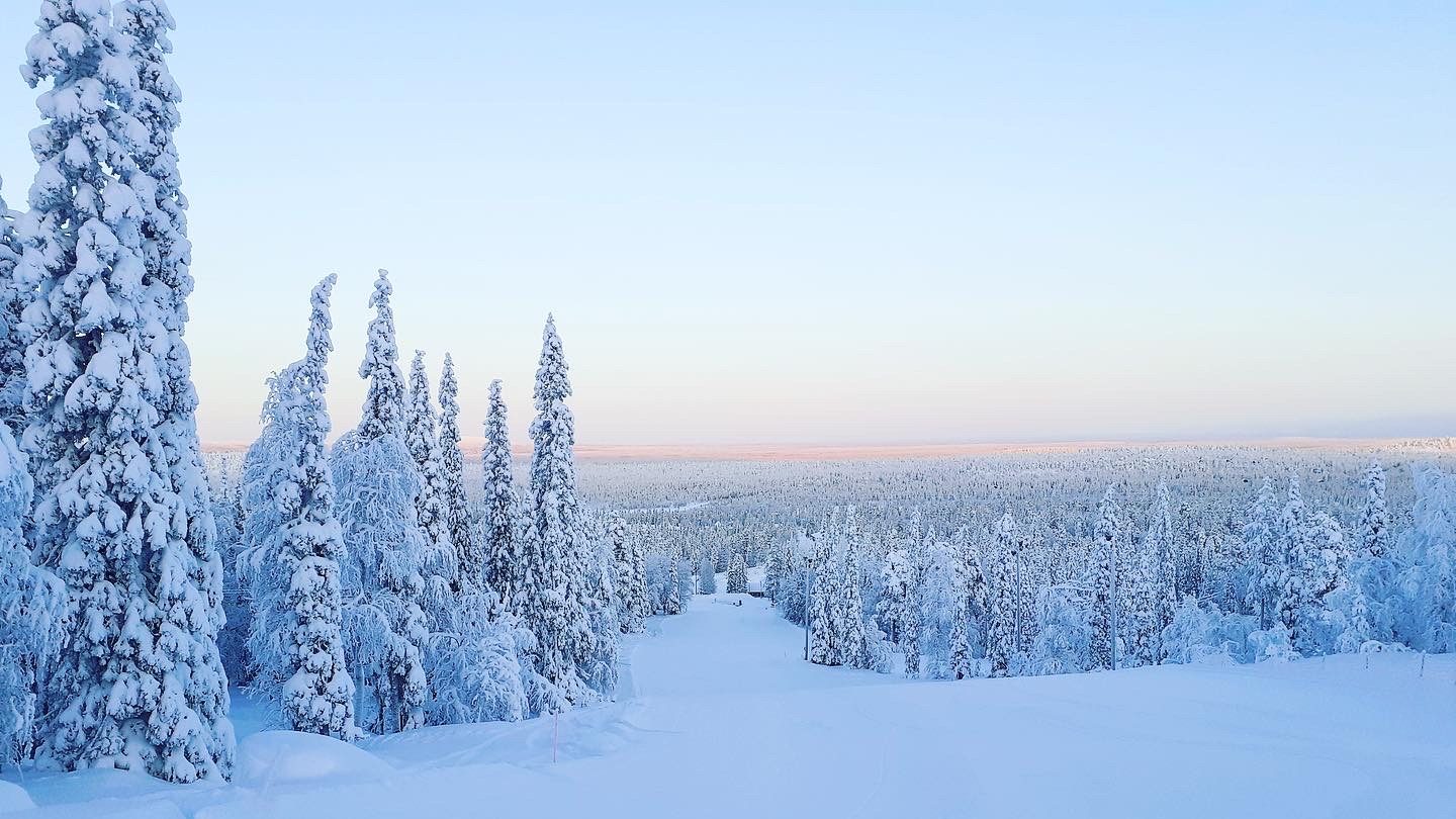 Snow-covered trees and road under a bright blue winter sky in Finland.