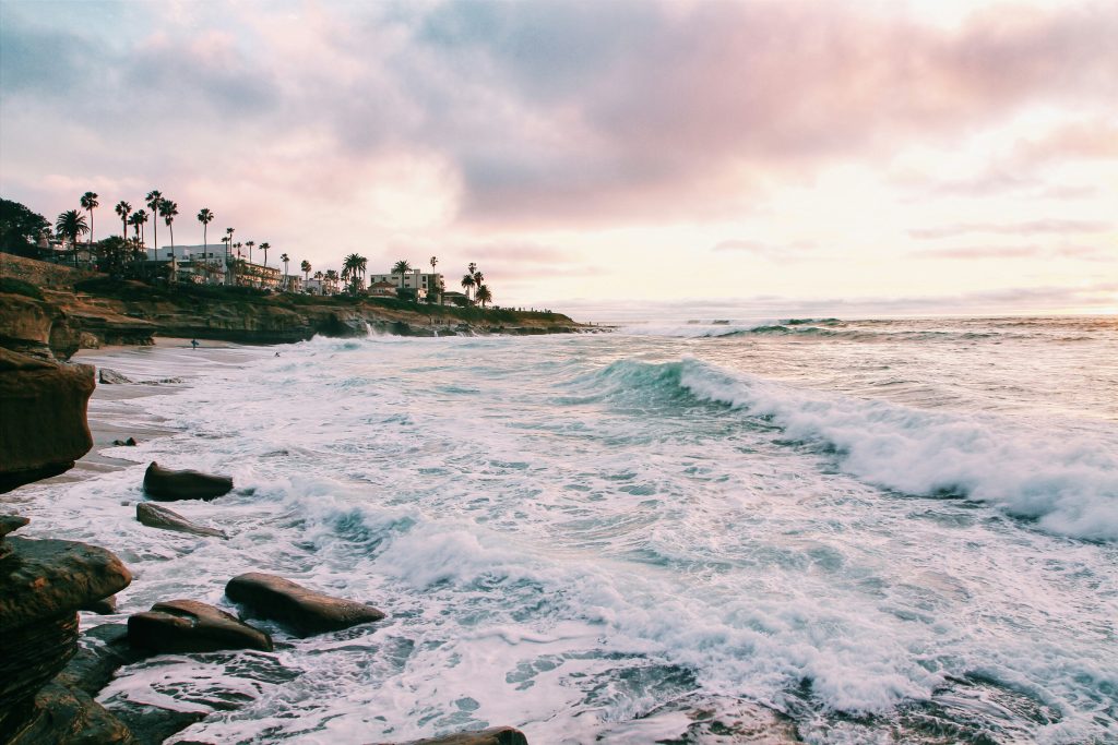 La Jolla coast with ocean waves and palm trees in San Diego