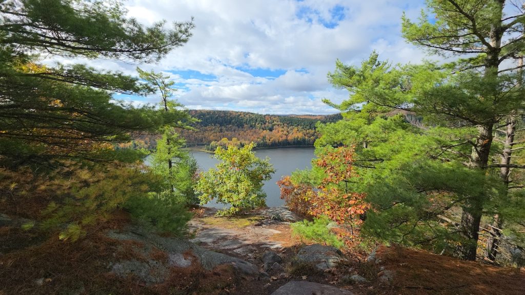 View of a calm blue lake surrounded by autumn trees seen through green pine branches in Gatineau Park, Canada.