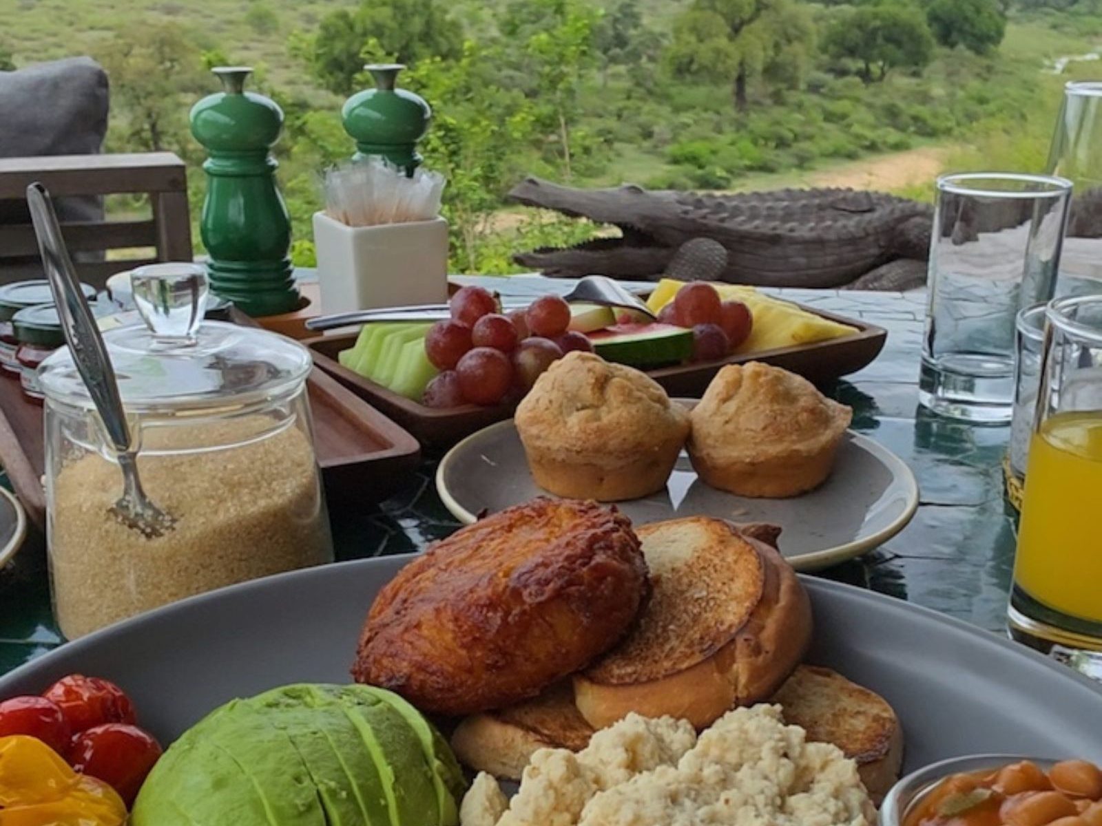 Vegan safari breakfast with avocado, tofu scramble, fruit, and beans overlooking the bush