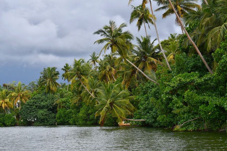 Natural Beauty of Sri Lanka for Vegan Travel in Asia