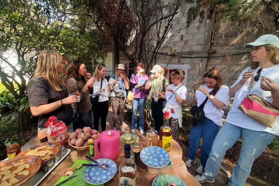 Group tasting tequila and mezcal during a Vegan Mexico City cultural tour