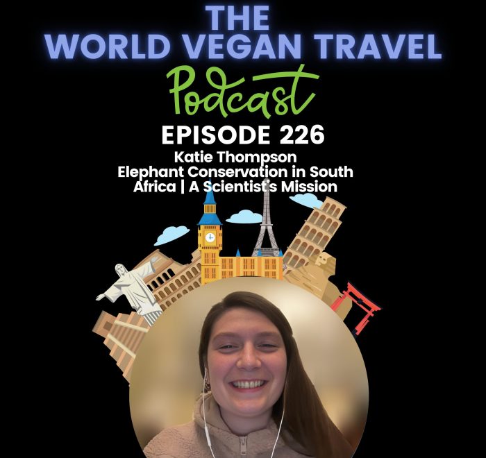 World Vegan Travel_TEXT_Elephant Conservation in South Africa | A Scientist's Mission | Katie Thompson Ep 226