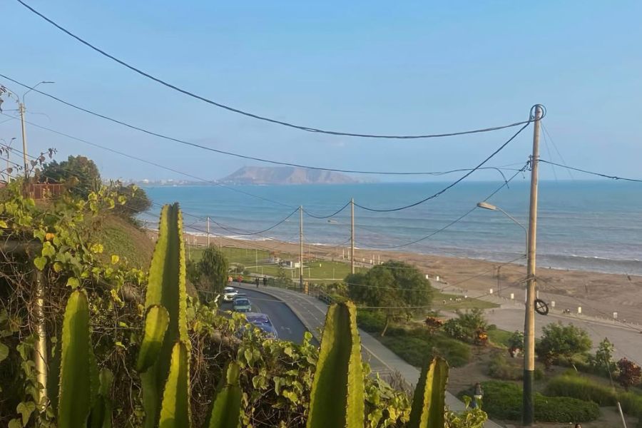 Coastal view in Lima with ocean, road, and green plants in the foreground