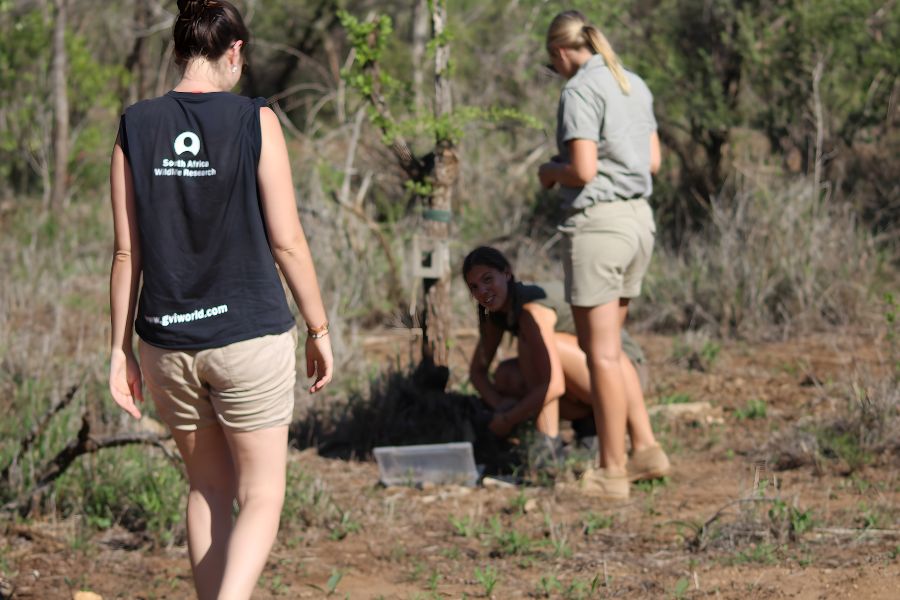 Researchers working in the bush in South Africa as part of elephant conservation South Africa projects.