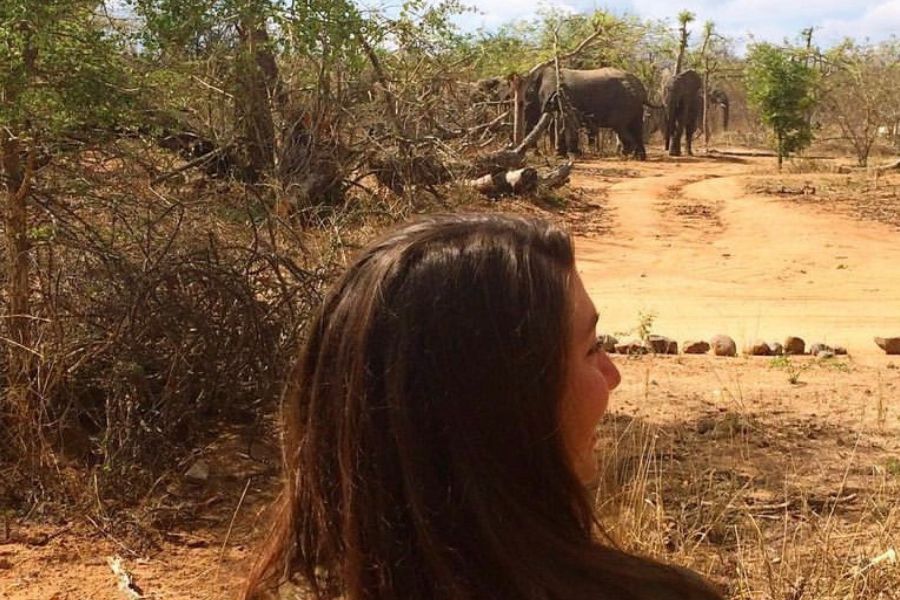 Dr Katie Thompson watching elephants walking through the bush in South Africa.