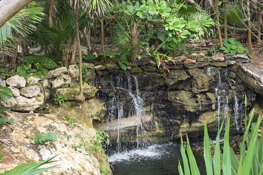 Small waterfall and jungle garden at Palmaïa resort