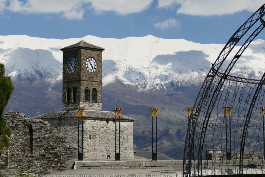 Two friendly stray dogs visit a campsite in Albania. Moments like this make vegan travel Albania feel real and special.