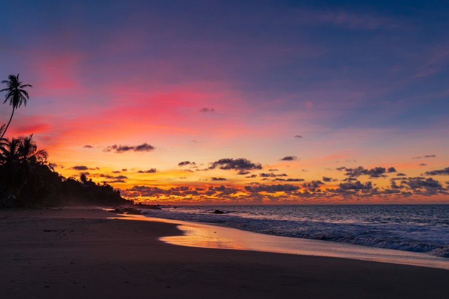 Sunset over Stonehaven beach in Tobago with palm trees and ocean waves