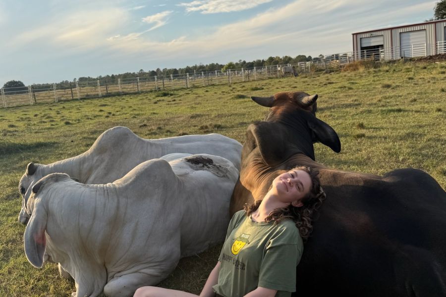 Kiara resting beside cows during a peaceful vegan travel moment