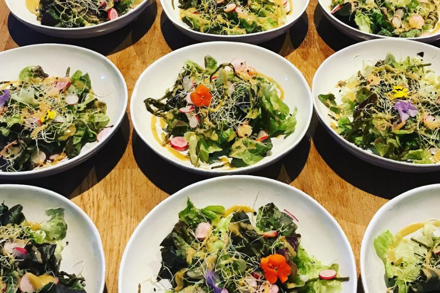 Fresh vegan salads with greens, sprouts, radishes, and edible flowers.