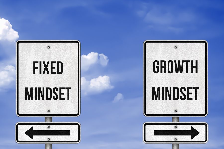 Road signs showing fixed mindset and growth mindset against a blue sky.