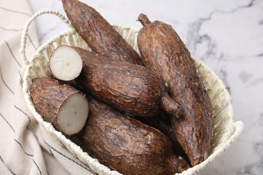 Fresh cassava roots used in traditional African plant-based cuisine