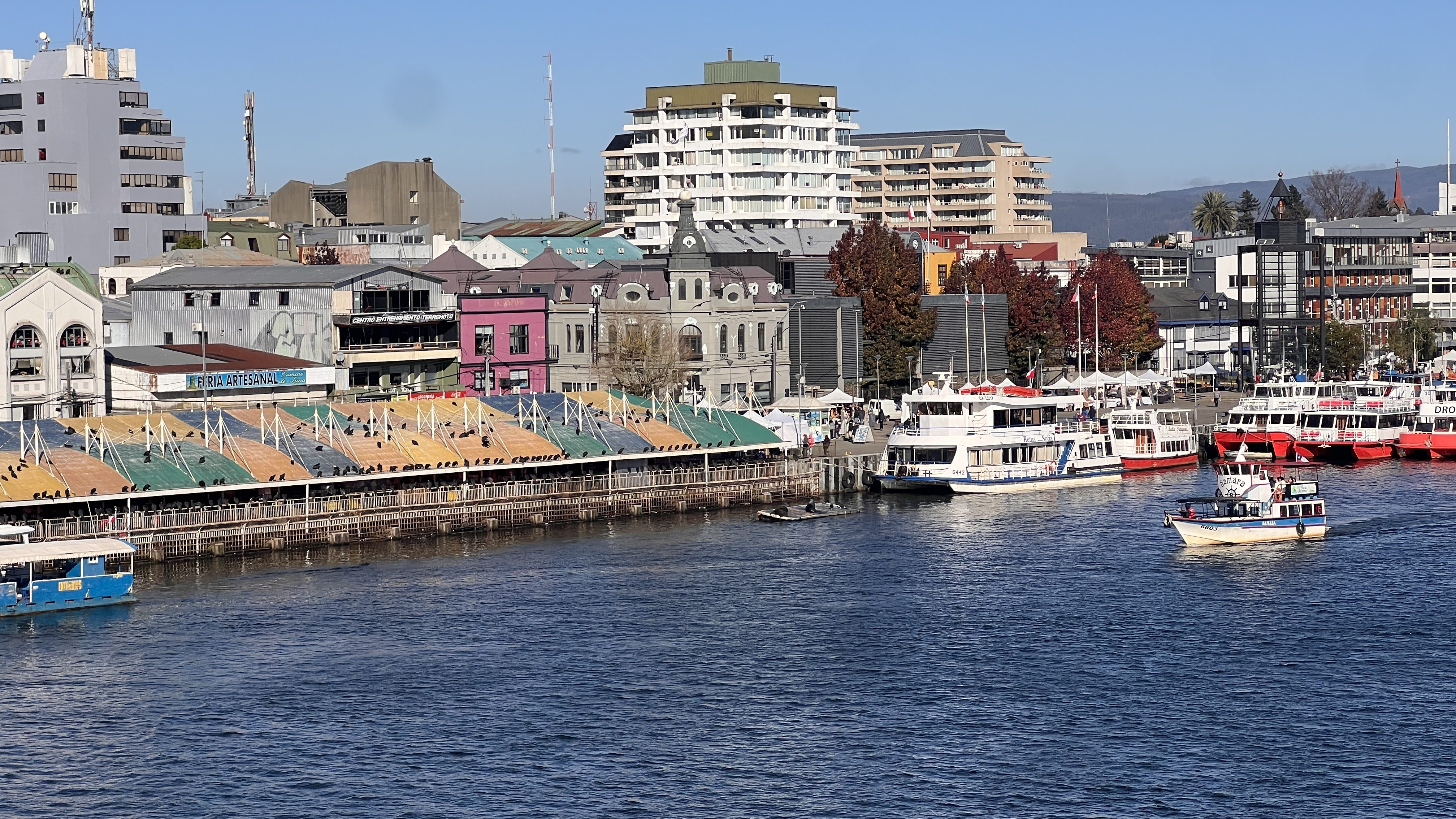 Boats beside Valdivia’s waterfront market, with colorful buildings lining the river.