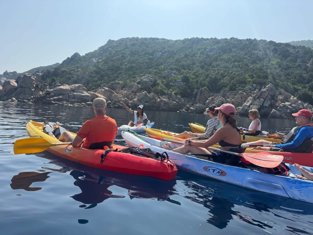 Group kayaking during a Wild Wee Adventures outdoor trip