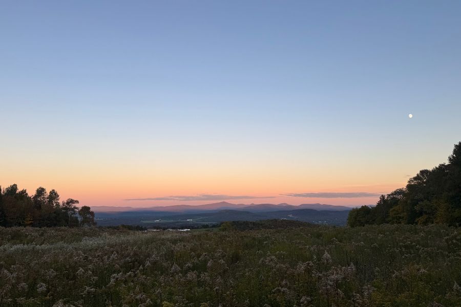 Meadow and distant mountains beneath a pink and blue sky, with the moon visible above the trees.