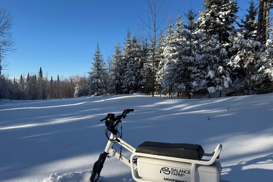 Balance.Farm-branded snow bike beside snow-covered evergreen trees under a clear blue sky.