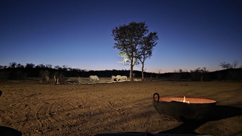White rhinos gathered at a waterhole in Namibia at dusk