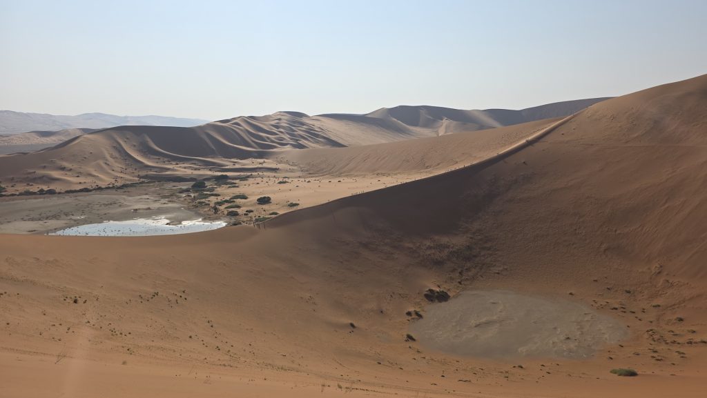 Red dunes and water at Sossusvlei in Namibia